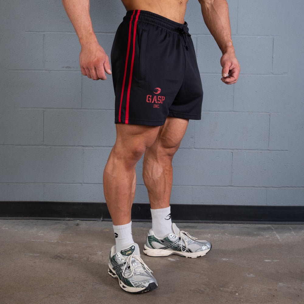 2 Stripe Standard Mesh Shorts 4"