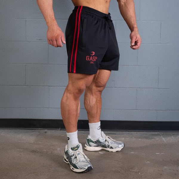 2 Stripe Standard Mesh Shorts 4"