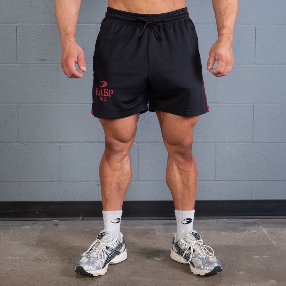 2 Stripe Standard Mesh Shorts 4"