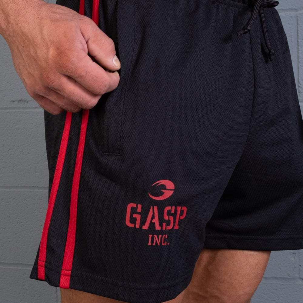 2 Stripe Standard Mesh Shorts 4"