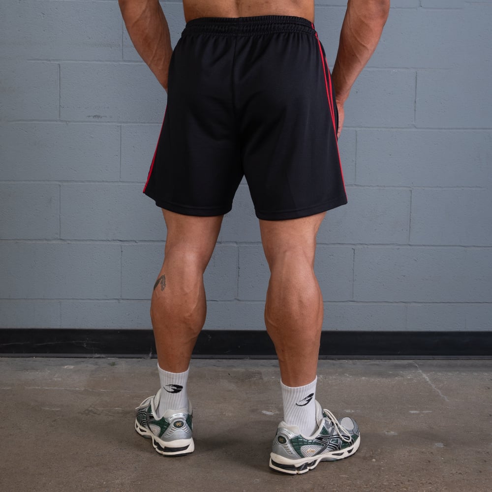 2 Stripe Standard Mesh Shorts 4"