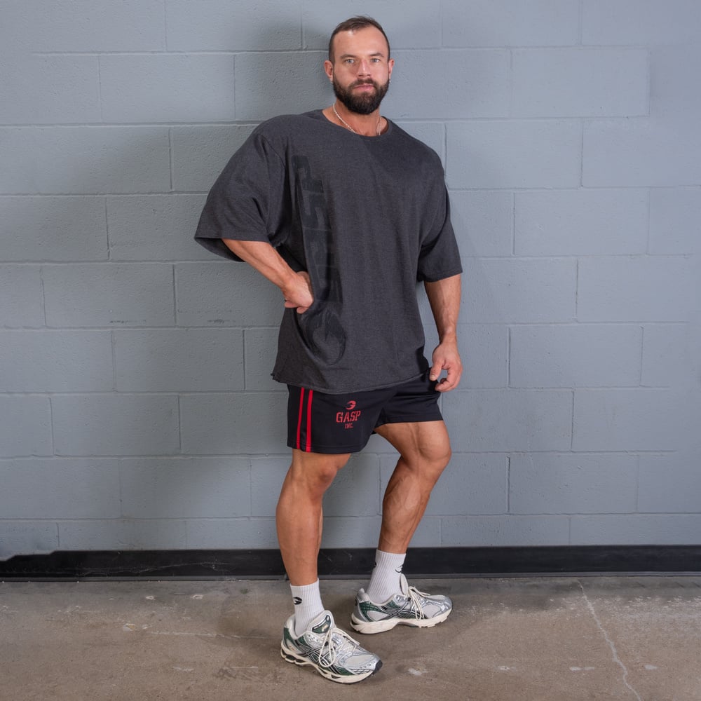 2 Stripe Standard Mesh Shorts 4"