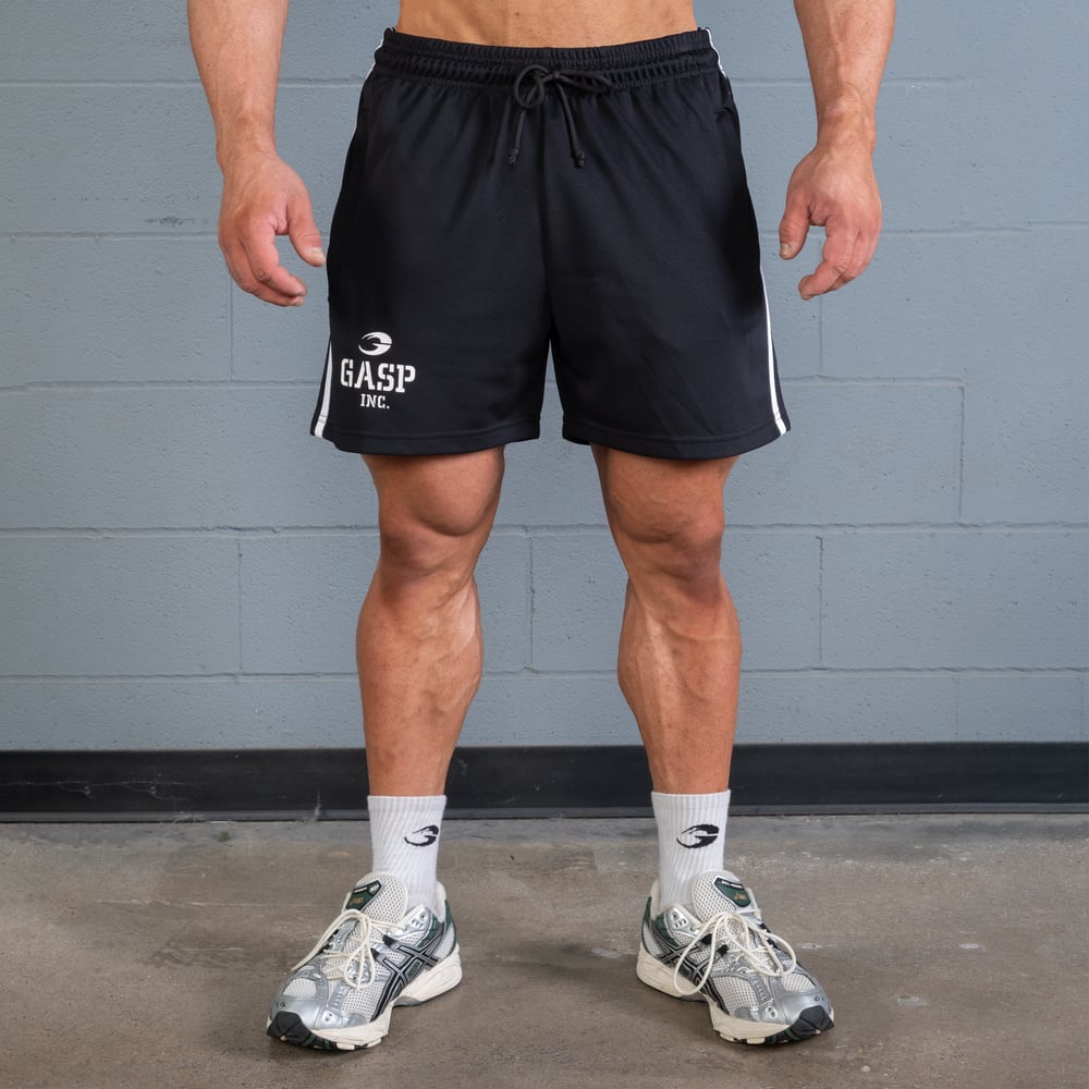 2 Stripe Standard Mesh Shorts 4"