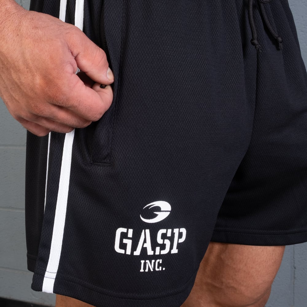 2 Stripe Standard Mesh Shorts 4"