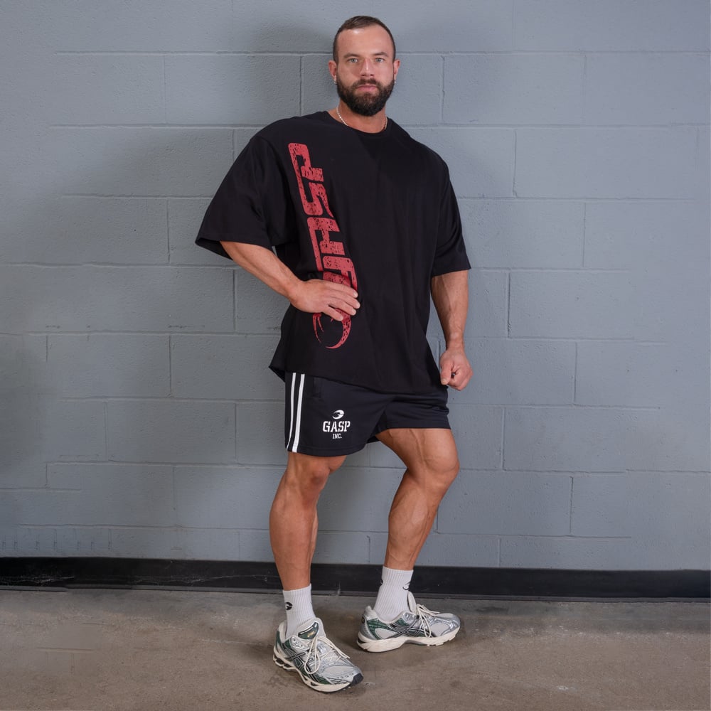 2 Stripe Standard Mesh Shorts 4"