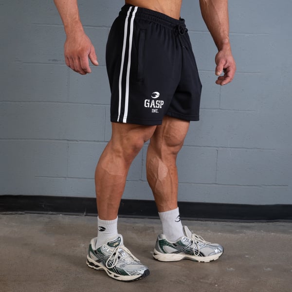 2 Stripe Standard Mesh Shorts 4"