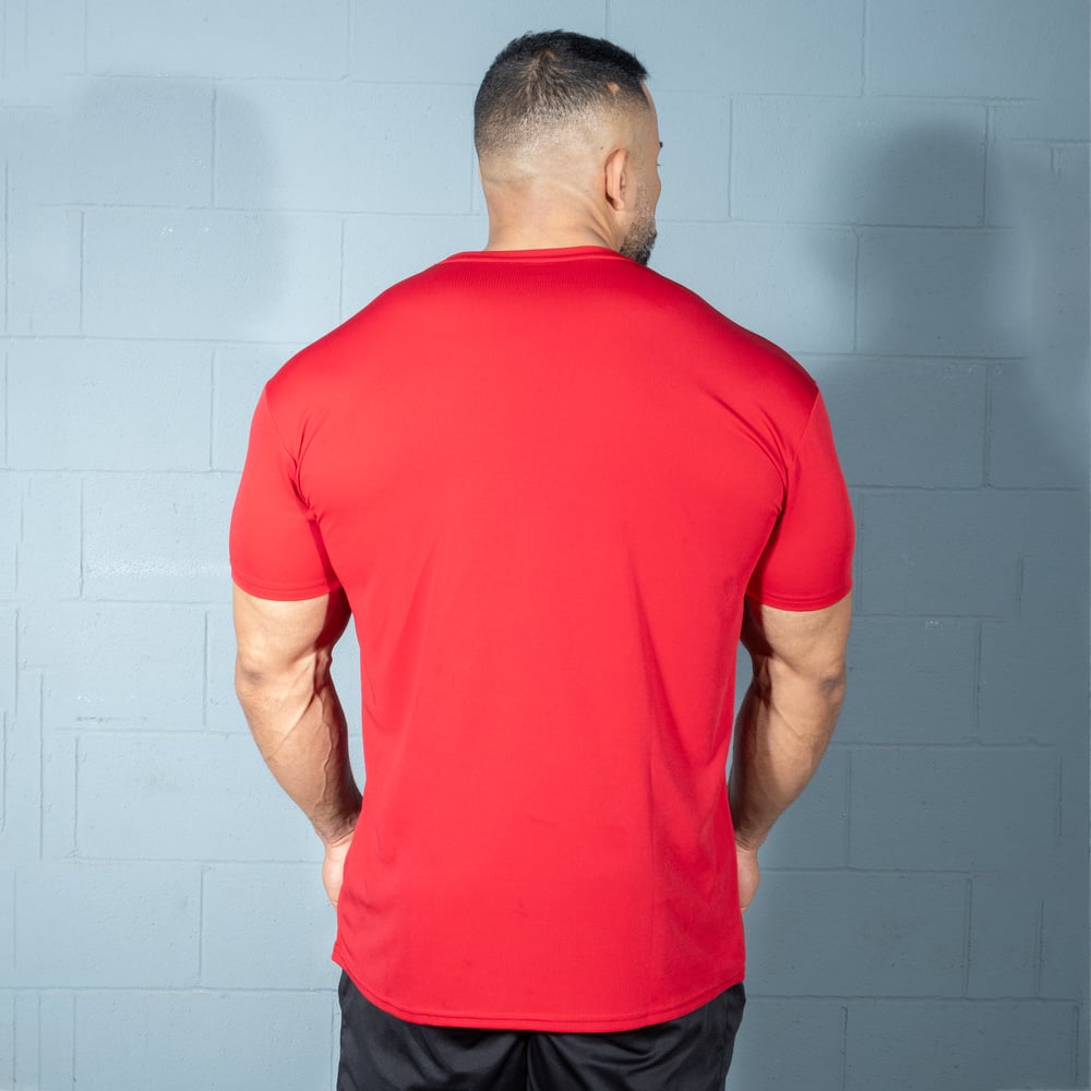 Mesh Standard Tee